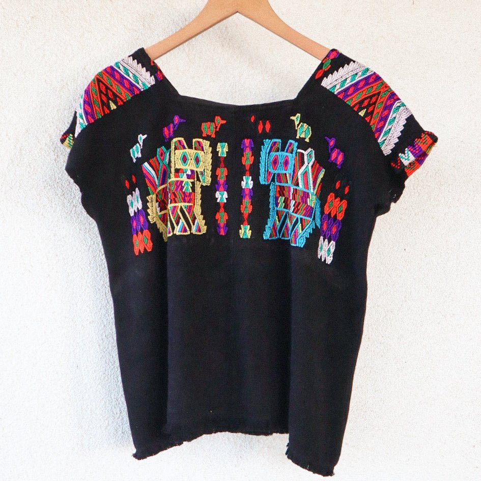 Black Guatemalan huipil hanging against a white wall with colorful woven motifs and green leaves in the foreground