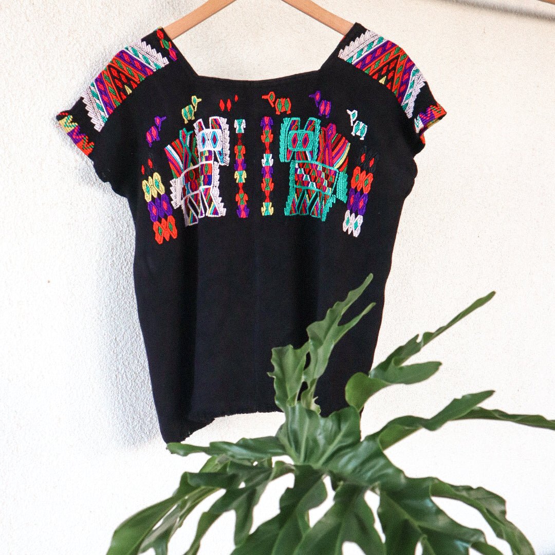 Black Guatemalan huipil hanging against a white wall with colorful woven motifs and green leaves in the foreground